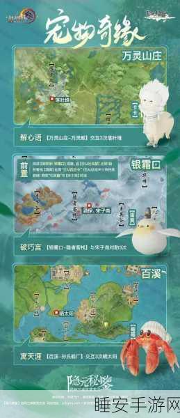 剑网3手游奇遇攻略，酒海小龟任务详解，萌宠轻松领回家