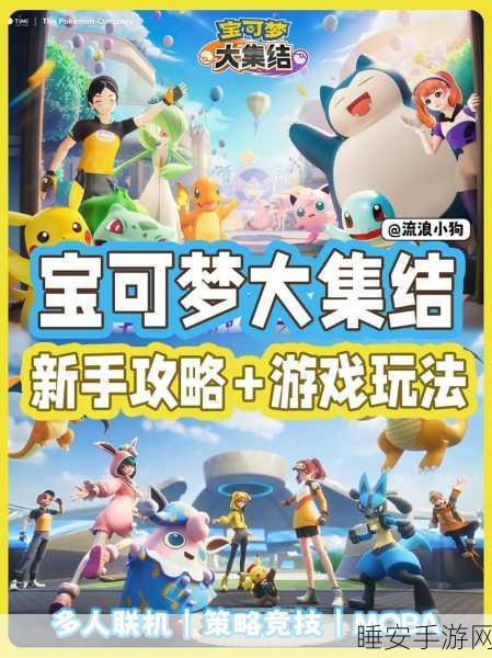 宝可梦大集结,全面解析昵称显示与设置,助你闪耀竞技场