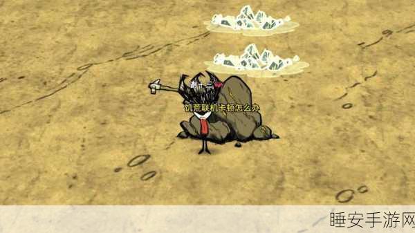 Steam饥荒联机难题,房间服务器00无法显示,解决方案大揭秘
