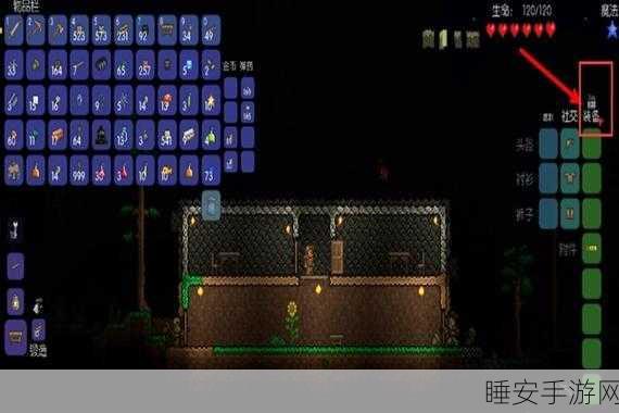 泰拉瑞亚悬浮板制作秘籍,解锁飞行新姿势,探索无限可能