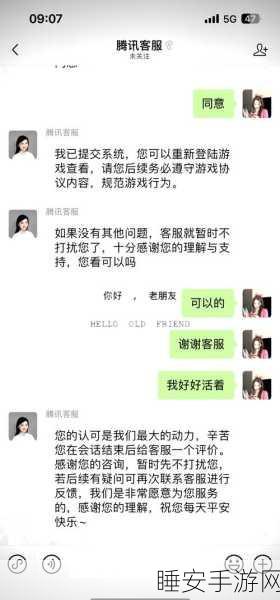 王者荣耀信誉积分恢复难题，详解恢复策略与比赛细节