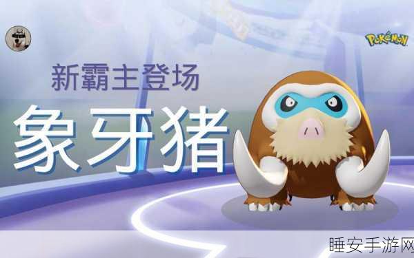 宝可梦大集结深度攻略,象牙猪技能搭配与实战技巧全解析