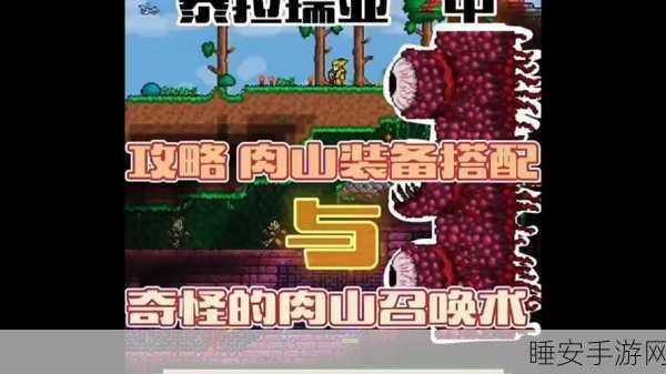泰拉瑞亚攻略，揭秘召唤恐怖肉墙的必备条件与技巧