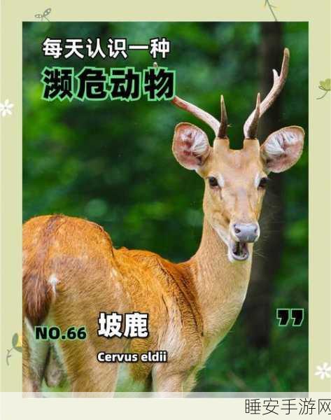 探索濒危动物世界，打造梦幻剧场 ——濒临绝种动物剧场手游深度体验