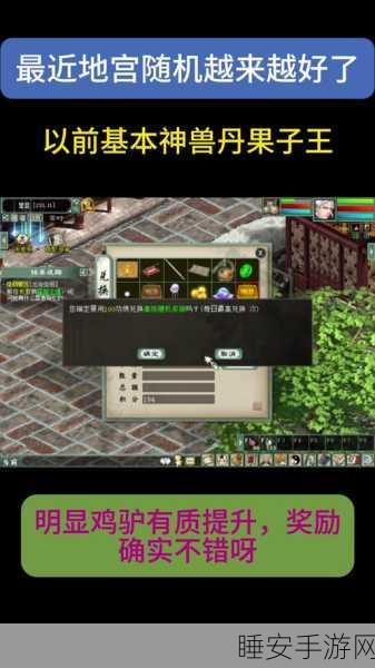 大话西游2地宫挑战全攻略,揭秘高效通关秘籍