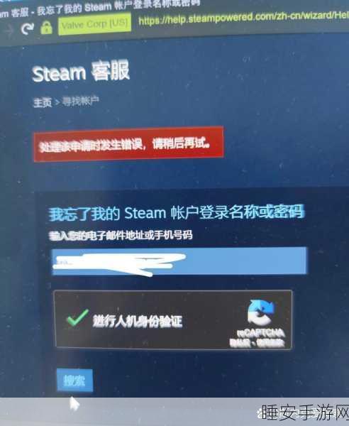 Steam账号登录问题全解析,账号密码无误为何无法登录?