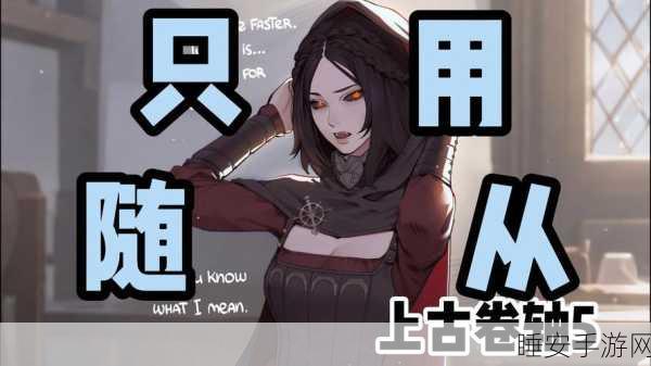 上古卷轴5深度攻略，轻松招募强力随从，助你征服天际！
