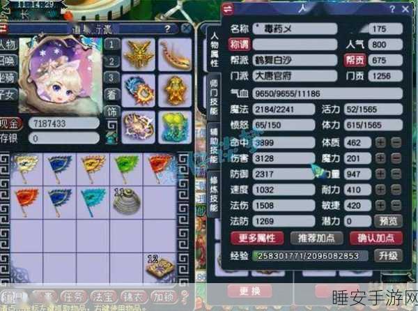梦幻西游大唐角色选择指南，DT玩家必看的顶尖角色推荐