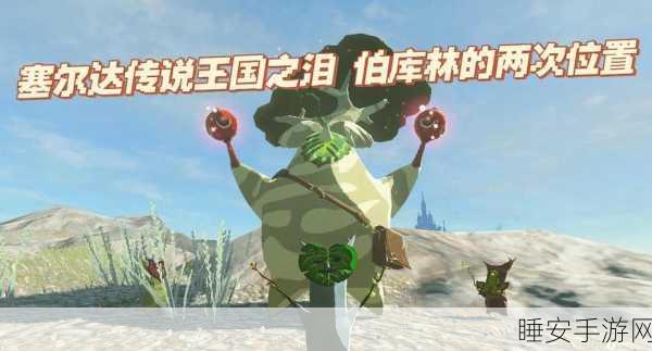 塞尔达传说王国之泪，博库林位置全揭秘及互动攻略