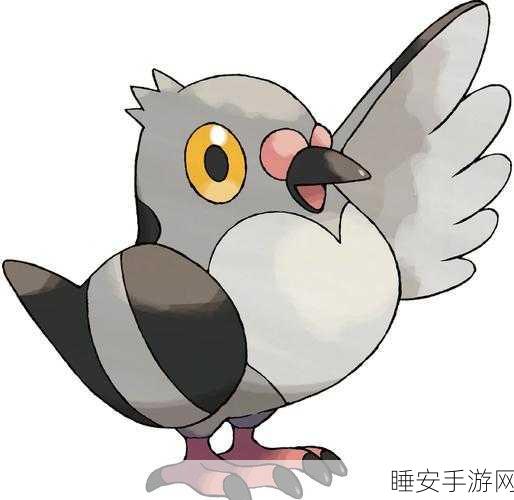 口袋妖怪，豆豆鸽华丽蜕变，进化大赛荣耀揭榜