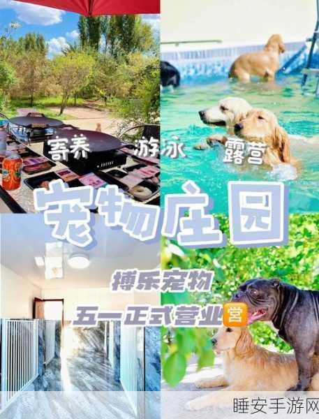 开心宠物庄园,打造你的梦幻宠物乐园,模拟经营新体验!