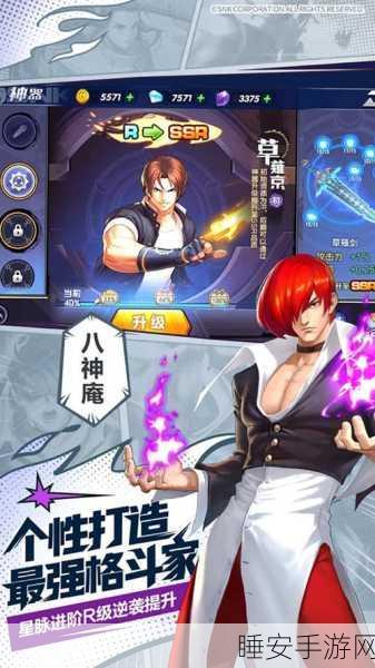 拳皇全明星手游攻略，拳魂觉醒辅助全解析，助你称霸格斗赛场！