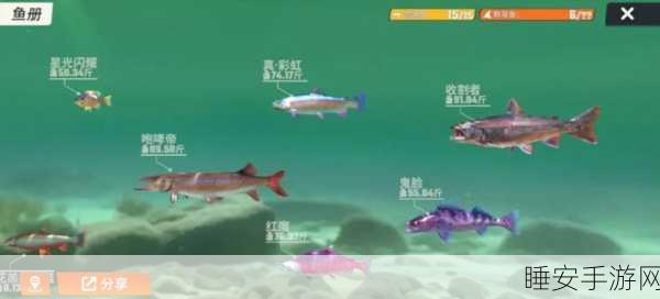 钓鱼大师新纪元，陀螺仪道具革新钓鱼体验，大赛细节揭秘