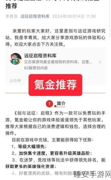 剑与远征,氪金与零氪玩家的双轨征途深度剖析