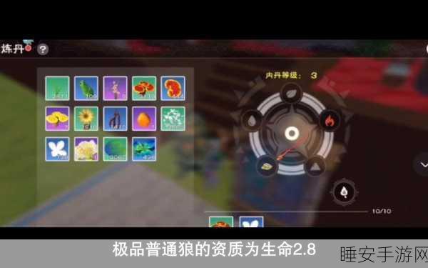 手游攻略,揭秘创造与魔法沙漠狼王饲料制作秘籍