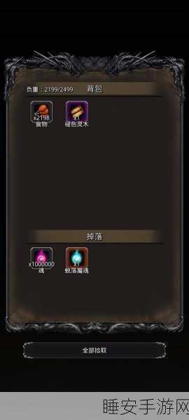 地下城堡2，黑暗觉醒——魔幻RPG新纪元，探索未知世界的冒险之旅