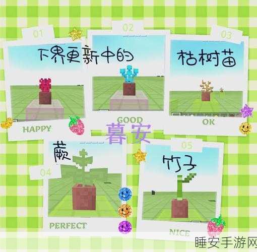我的世界性价比之王,揭秘最高效农作物种植攻略