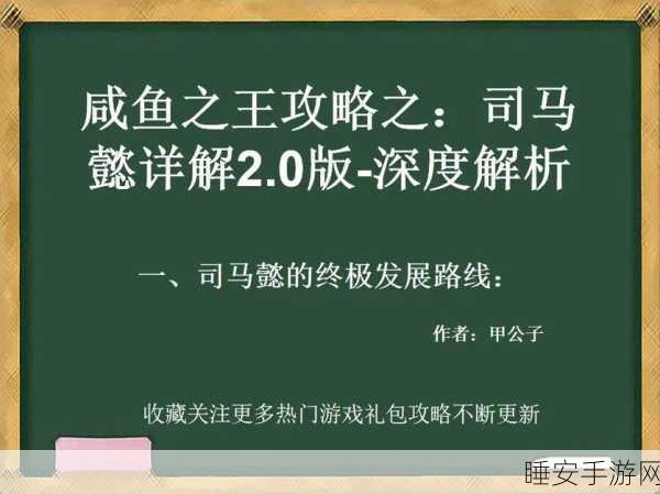 咸鱼之王策略对决,揭秘克制司马懿阵容的制胜之道