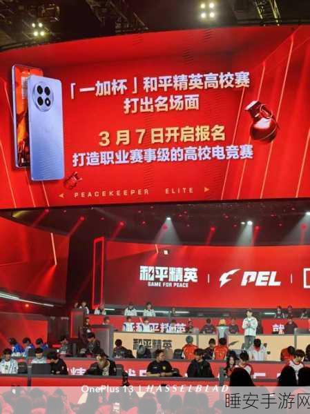 和平精英巅峰赛赛程全解析，每日激战时段大揭秘！