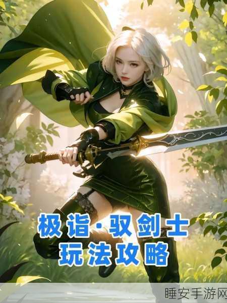 剑宗与剑帝大对决,DNF热门职业深度解析与竞技比拼