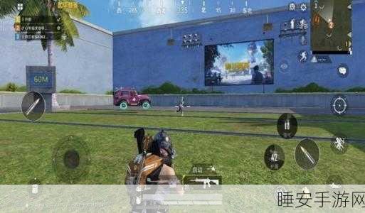 手游成瘾警示,揭秘和平精英玩家的沉迷程度与影响
