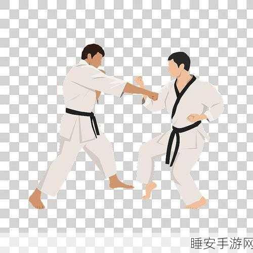 热血挑战！空手道格斗武术Karate Fighting Games，动作闯关新体验