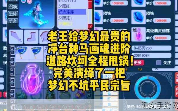 梦幻西游DT,穷人玩家高效加点攻略,打造性价比之王