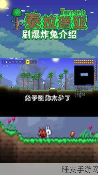 泰拉瑞亚奇幻冒险，揭秘全新兔子宠物解锁挑战与赛事详情