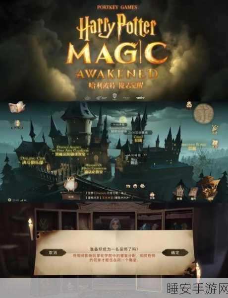 哈利波特手游,揭秘协作任务全攻略,探索魔法世界的隐藏挑战!