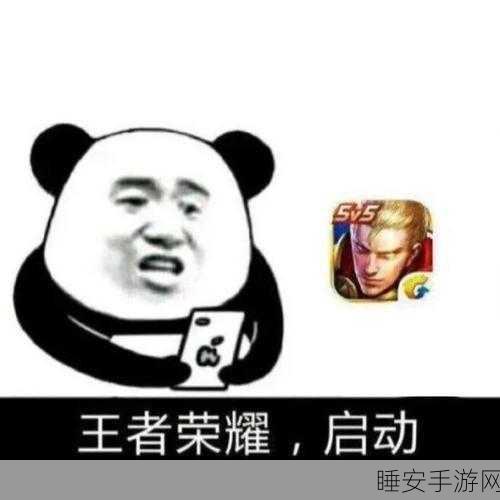 王者荣耀个性表情全攻略，解锁互动新姿势，赛场内外更添彩！