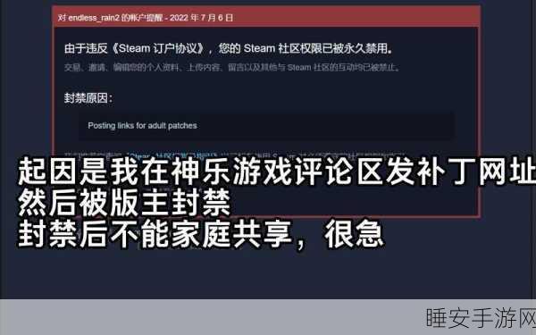 拼多多商家提及的Steam红信,真相揭秘与玩家防骗指南