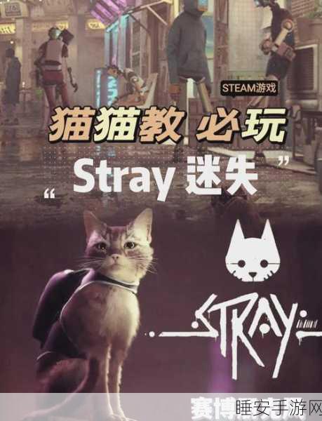 坏猫模拟器中文版震撼发布,体验喵星人的奇妙日常