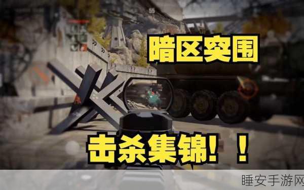 暗区突围，揭秘杀队友的严厉惩罚机制与游戏细节