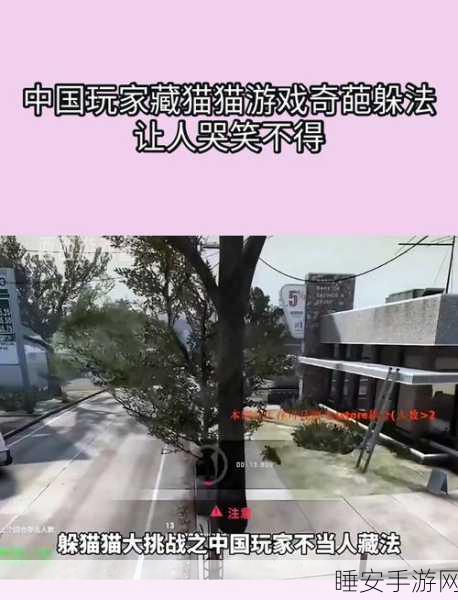 穿越火线藏猫猫模式全攻略，掌握寻找与躲藏的终极技巧