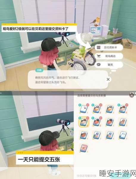 心动小镇鸟类观察大赛全攻略,精准定位鸟类栖息地与观测技巧揭秘