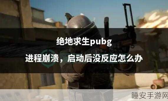 绝地求生更新后崩溃？这里有最全解决方案，助你重返战场！