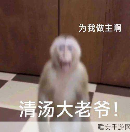 答题赢红包，挑战智慧极限 —— 宰相大老爷游戏深度解析