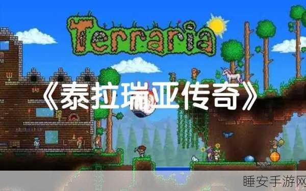 泰拉瑞亚传奇VS神级,哪款手游更胜一筹?
