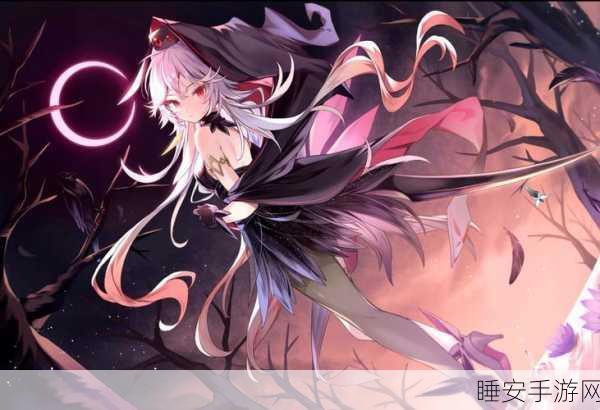 魔女之泉3，揭秘勇士之剑的传奇寻觅之旅