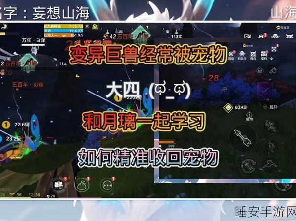 妄想山海,宠物变形秘籍!轻松换头与异兽部位替换全攻略