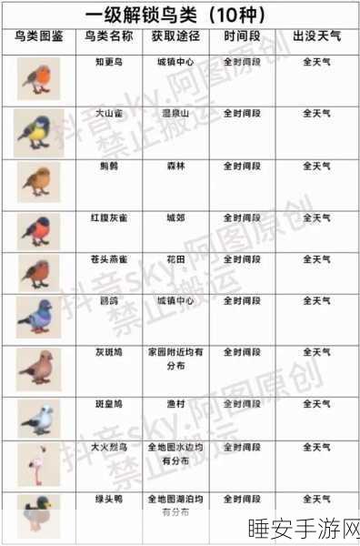 心动小镇五级观鸟大赛全解析，珍稀鸟类栖息地与夺冠秘籍