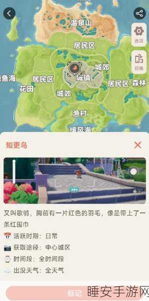 心动小镇五级观鸟大赛全解析,珍稀鸟类栖息地与夺冠秘籍