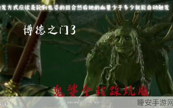 博德之门3，深度攻略——揭秘鬼婆头皮的高效获取策略