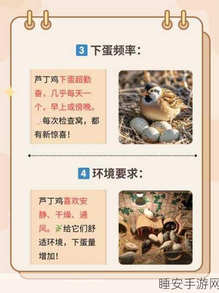 魔性养殖新体验，养小蛋游戏深度评测与趣味玩法揭秘
