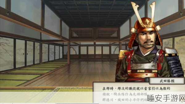 太阁立志传5深度解析,热门问题全攻略
