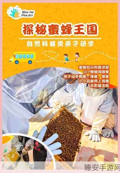 奥比岛青木森林蜜蜂大揭秘,探索蜜蜂数量与奇妙生态