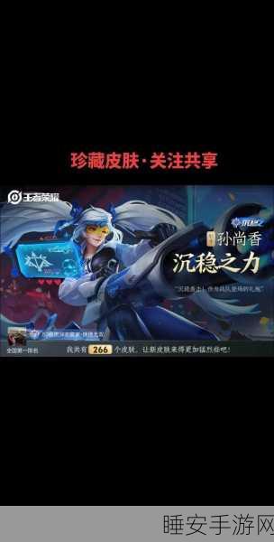 王者荣耀深度解析,沉稳之力英雄实战价值与策略探讨