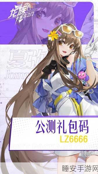 独家揭秘,龙族幻想萤火之夏礼盒全攻略,限时活动不容错过!