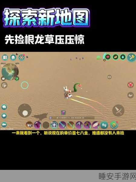 探秘创造与魔法，七里香草原详尽指南及隐藏玩法揭秘