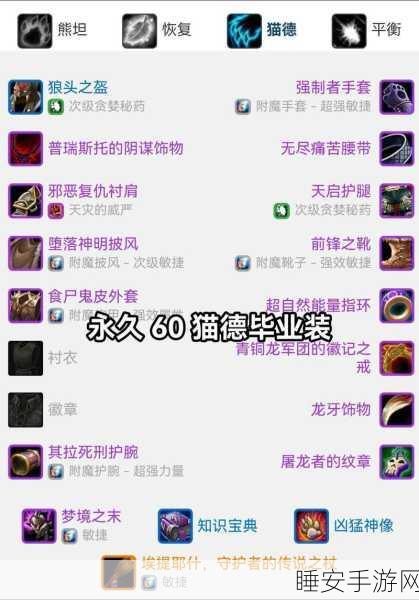 怀旧服法师巅峰!70级顶级装备深度剖析与实战应用